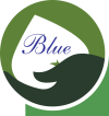 MY BLUE